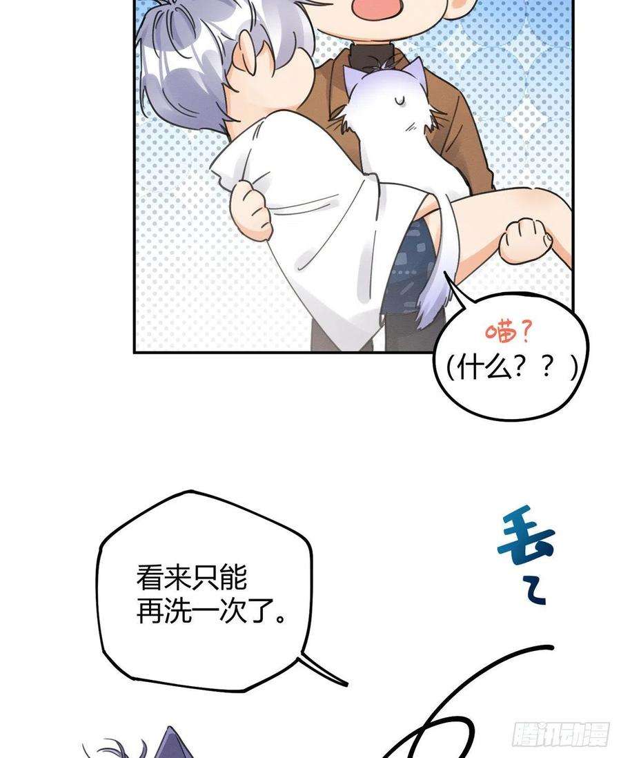今天也要努力当只猫12话 洗澡？！