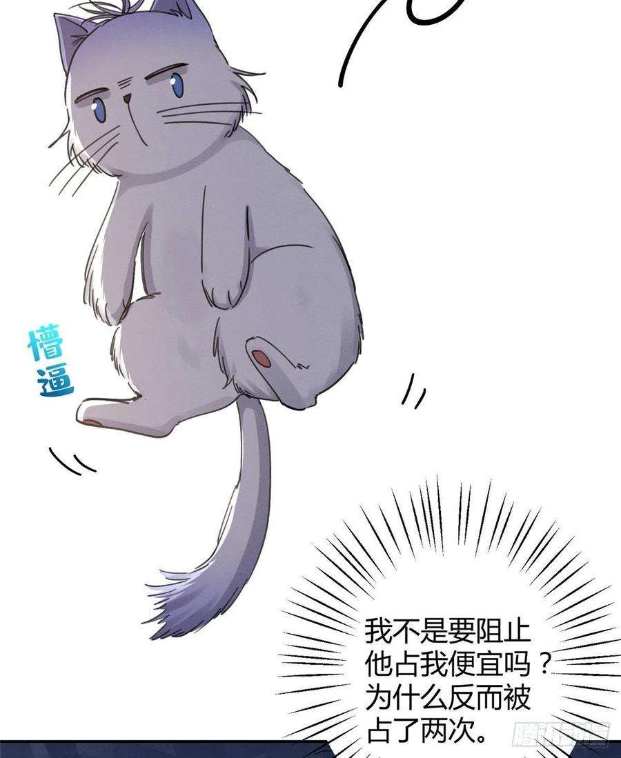 今天也要努力当只猫12话 洗澡？！