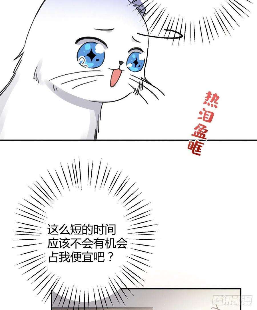 今天也要努力当只猫12话 洗澡？！