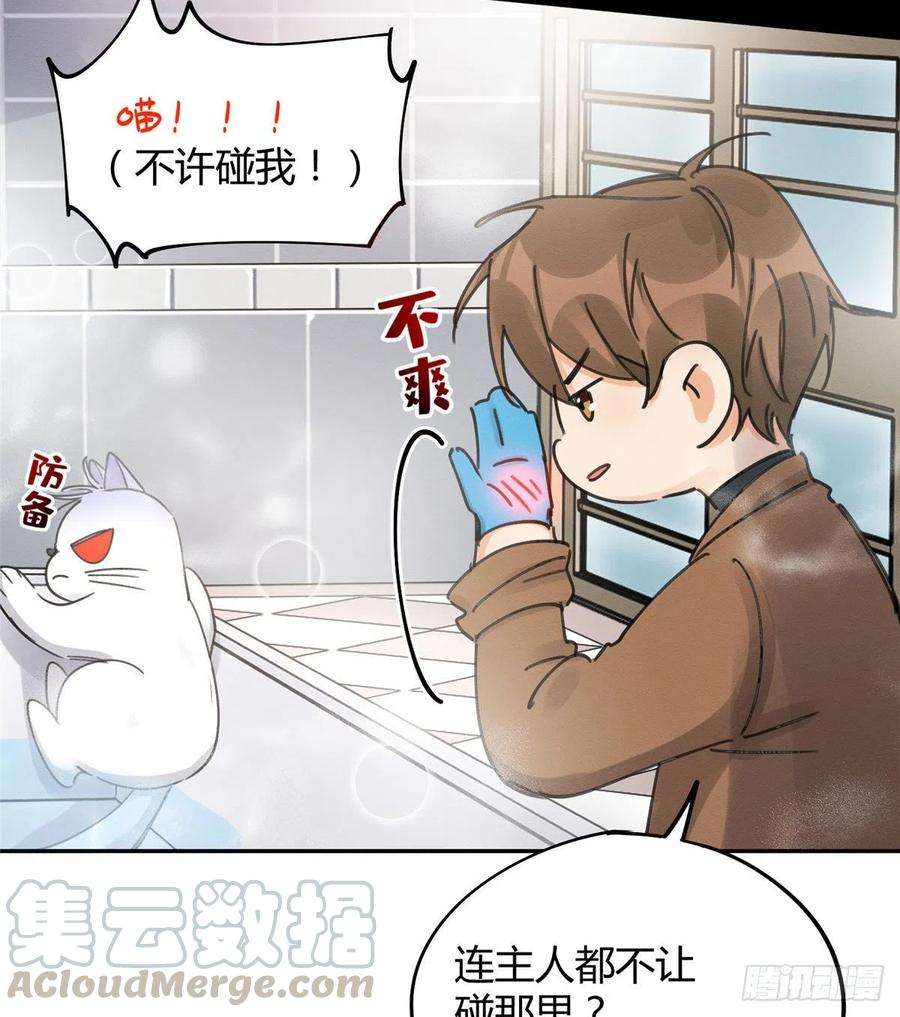 今天也要努力当只猫12话 洗澡？！