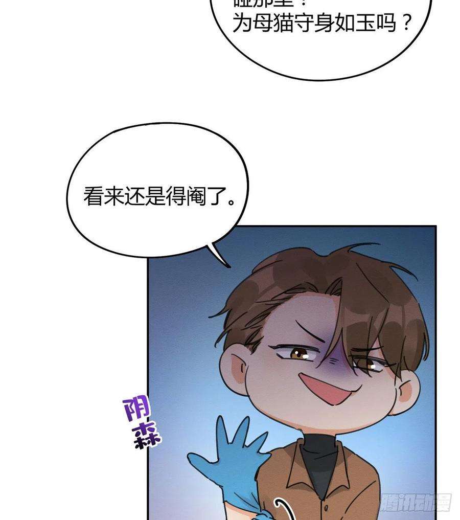 今天也要努力当只猫12话 洗澡？！