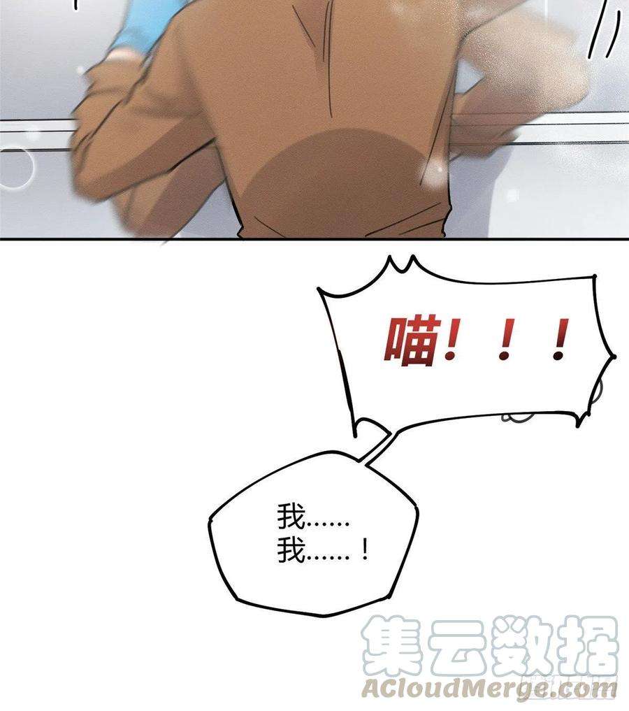 今天也要努力当只猫12话 洗澡？！