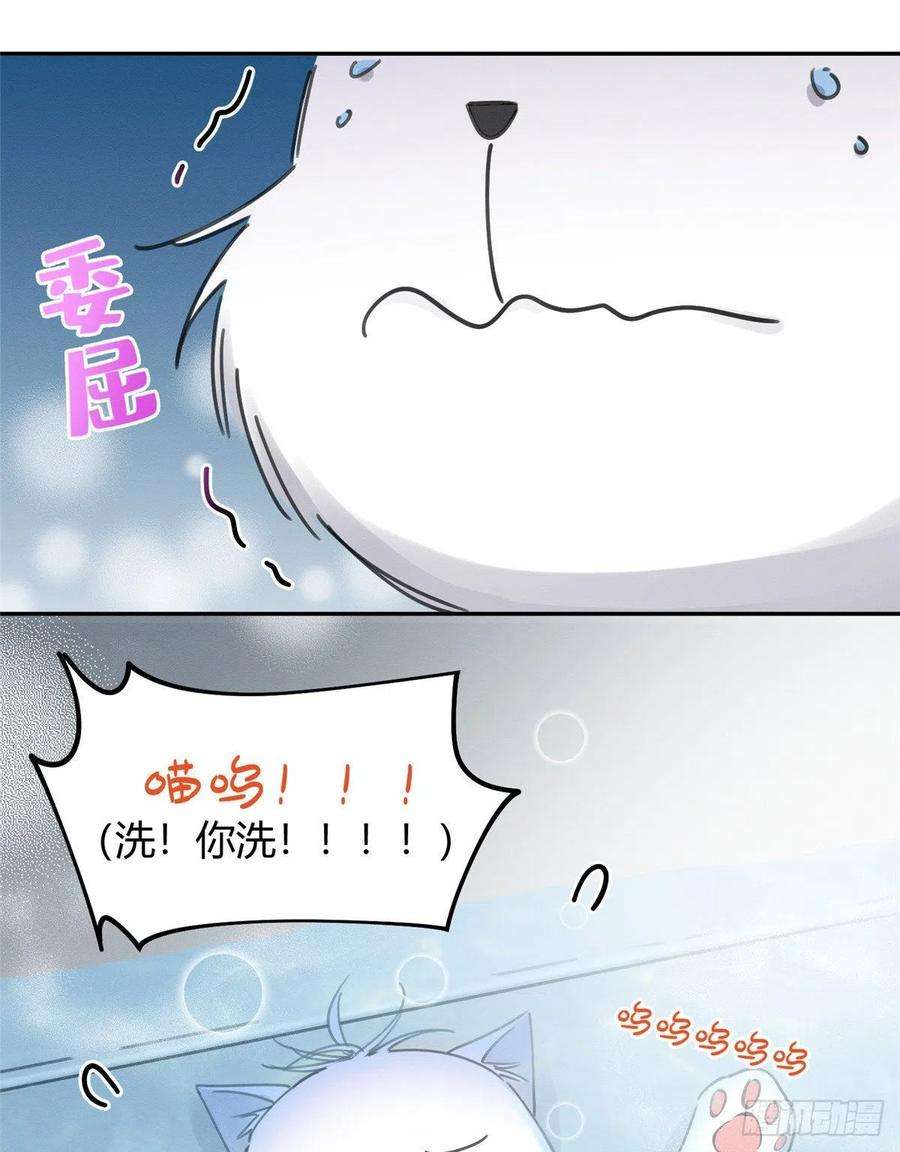 今天也要努力当只猫12话 洗澡？！