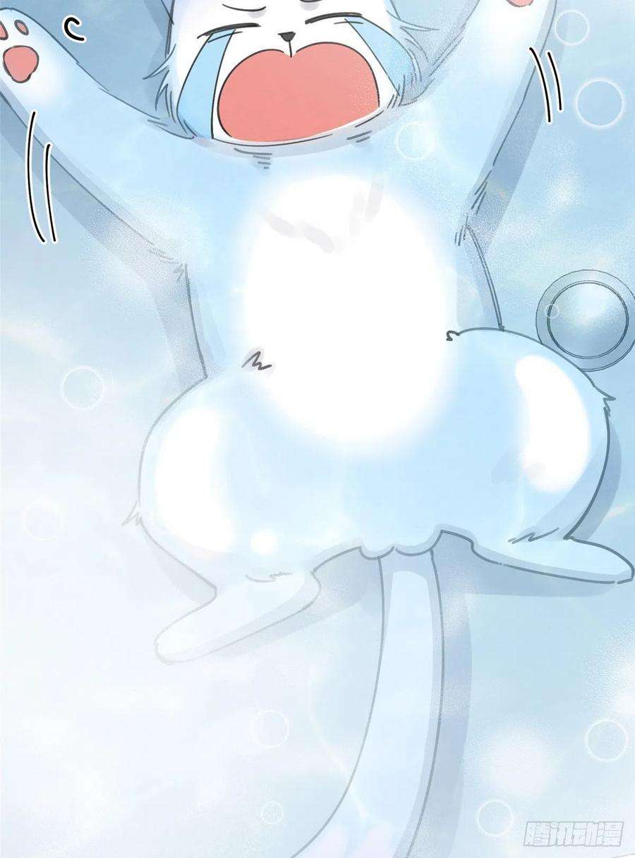 今天也要努力当只猫12话 洗澡？！