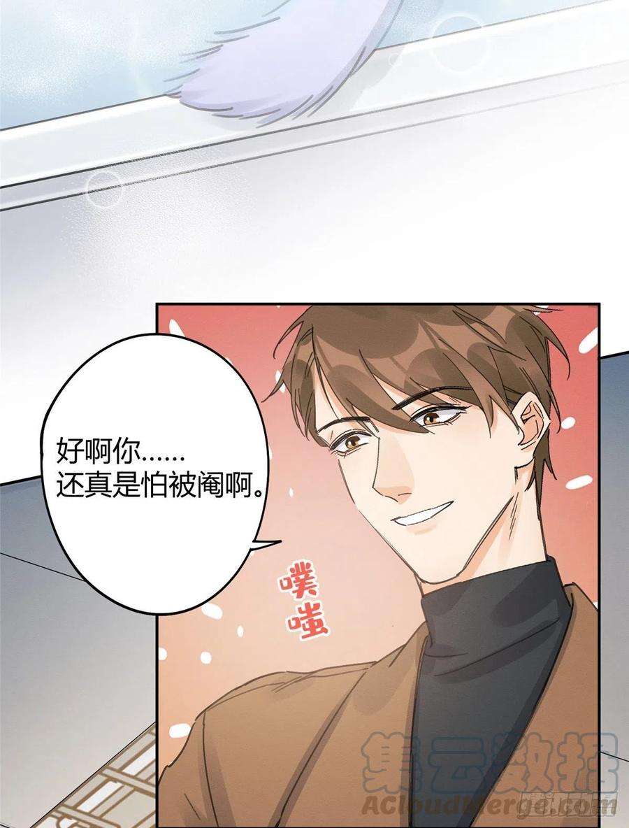 今天也要努力当只猫12话 洗澡？！