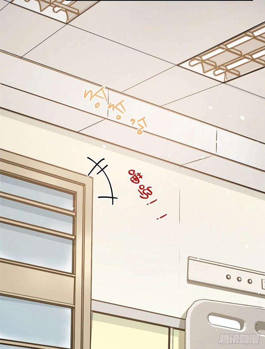 今天也要努力当只猫12话 洗澡？！