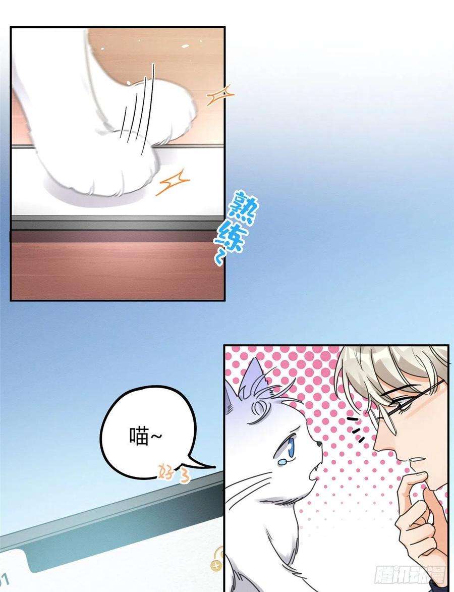 今天也要努力当只猫13话 我的初吻TAT