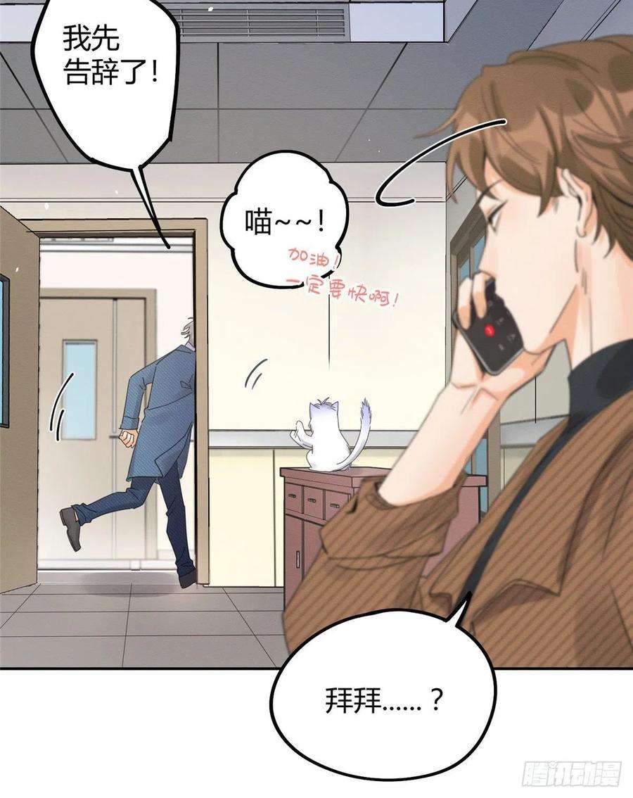 今天也要努力当只猫13话 我的初吻TAT