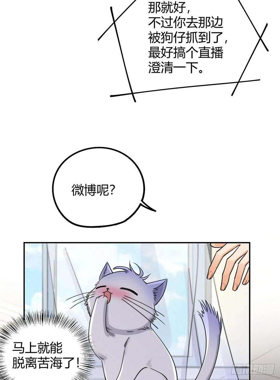 今天也要努力当只猫13话 我的初吻TAT