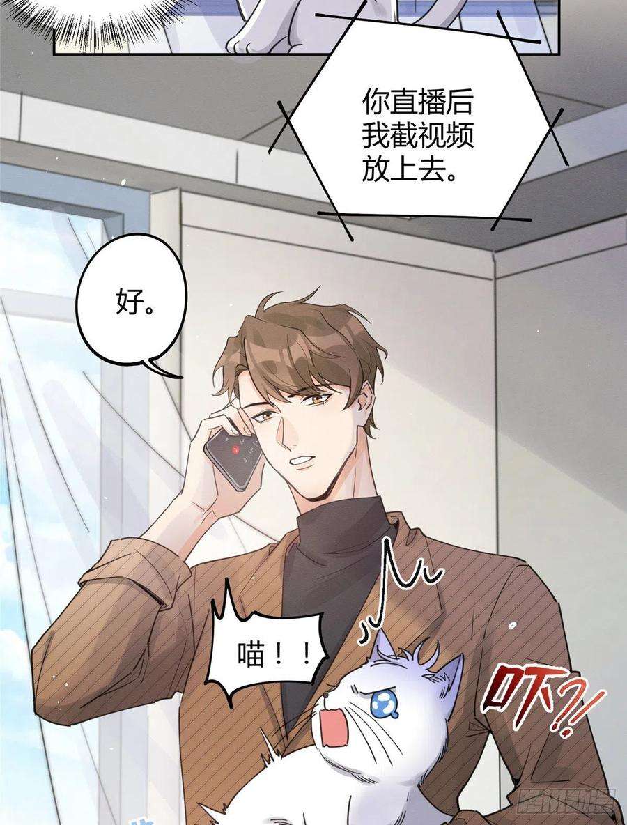 今天也要努力当只猫13话 我的初吻TAT