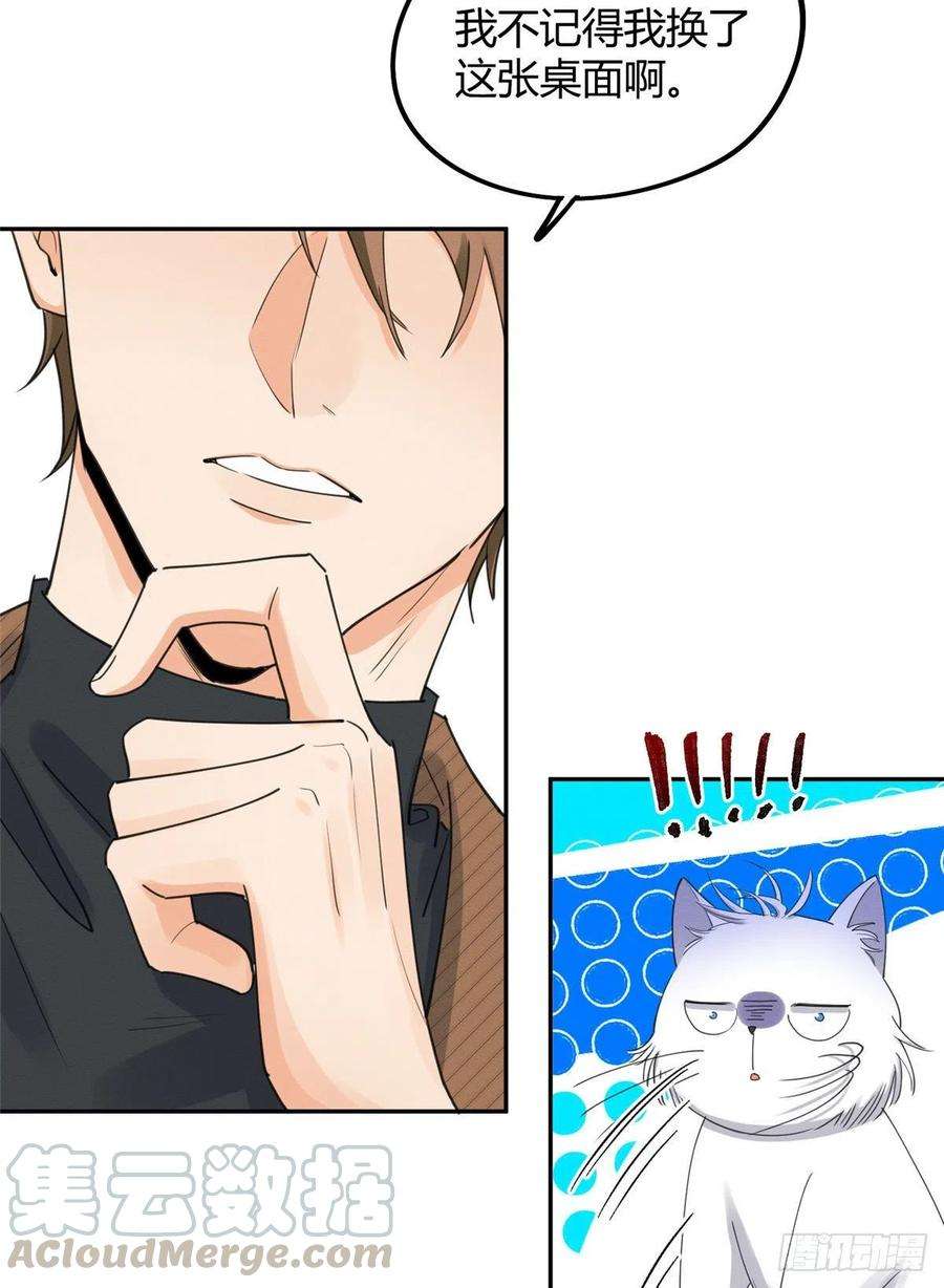 今天也要努力当只猫13话 我的初吻TAT