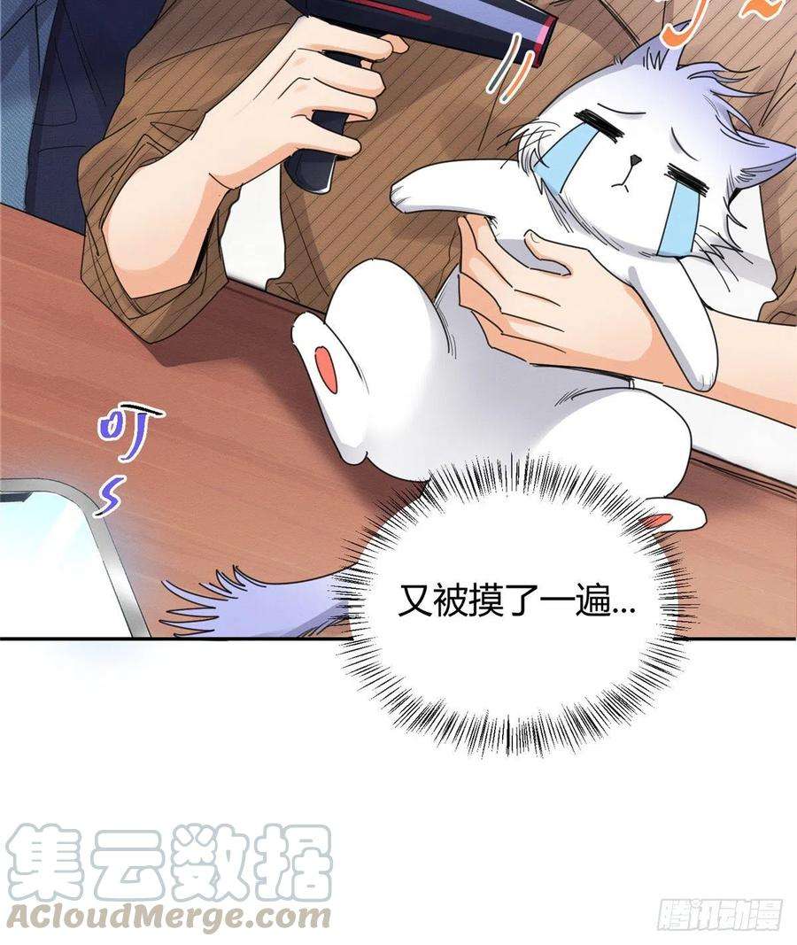 今天也要努力当只猫13话 我的初吻TAT