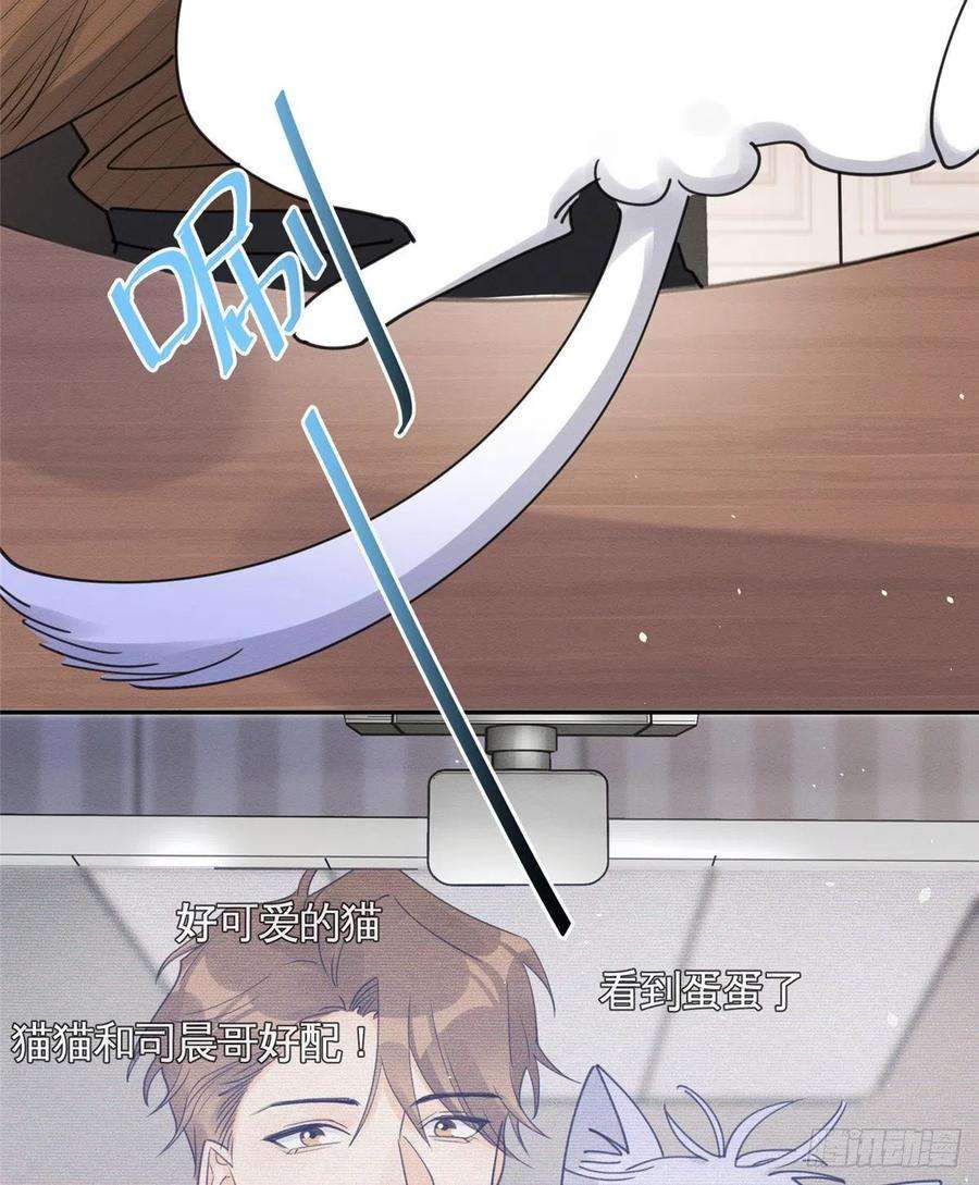 今天也要努力当只猫13话 我的初吻TAT