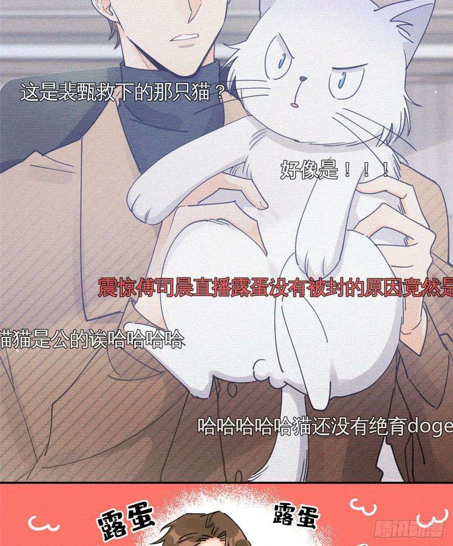 今天也要努力当只猫13话 我的初吻TAT
