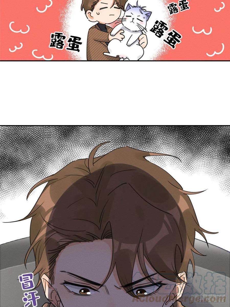 今天也要努力当只猫13话 我的初吻TAT