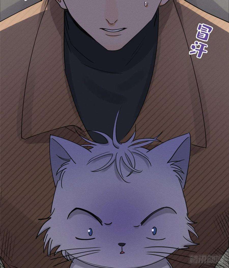 今天也要努力当只猫13话 我的初吻TAT