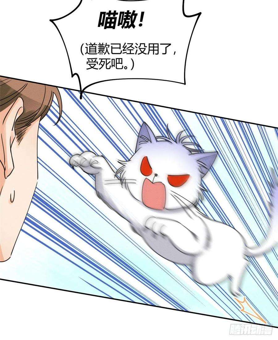 今天也要努力当只猫13话 我的初吻TAT