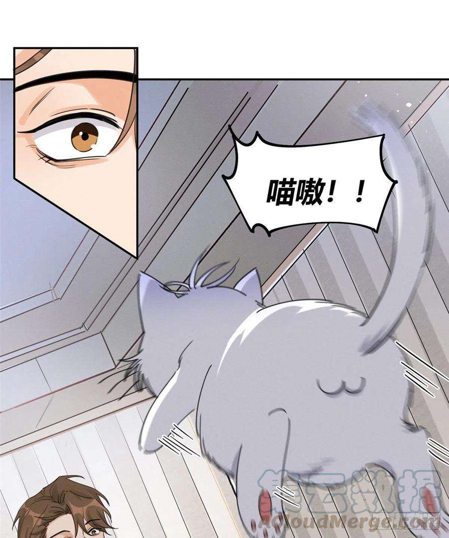 今天也要努力当只猫13话 我的初吻TAT