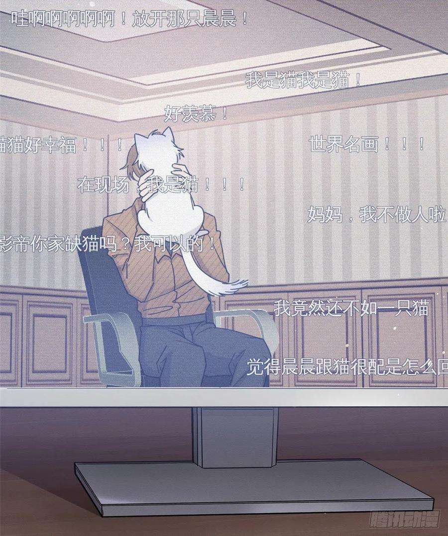 今天也要努力当只猫13话 我的初吻TAT