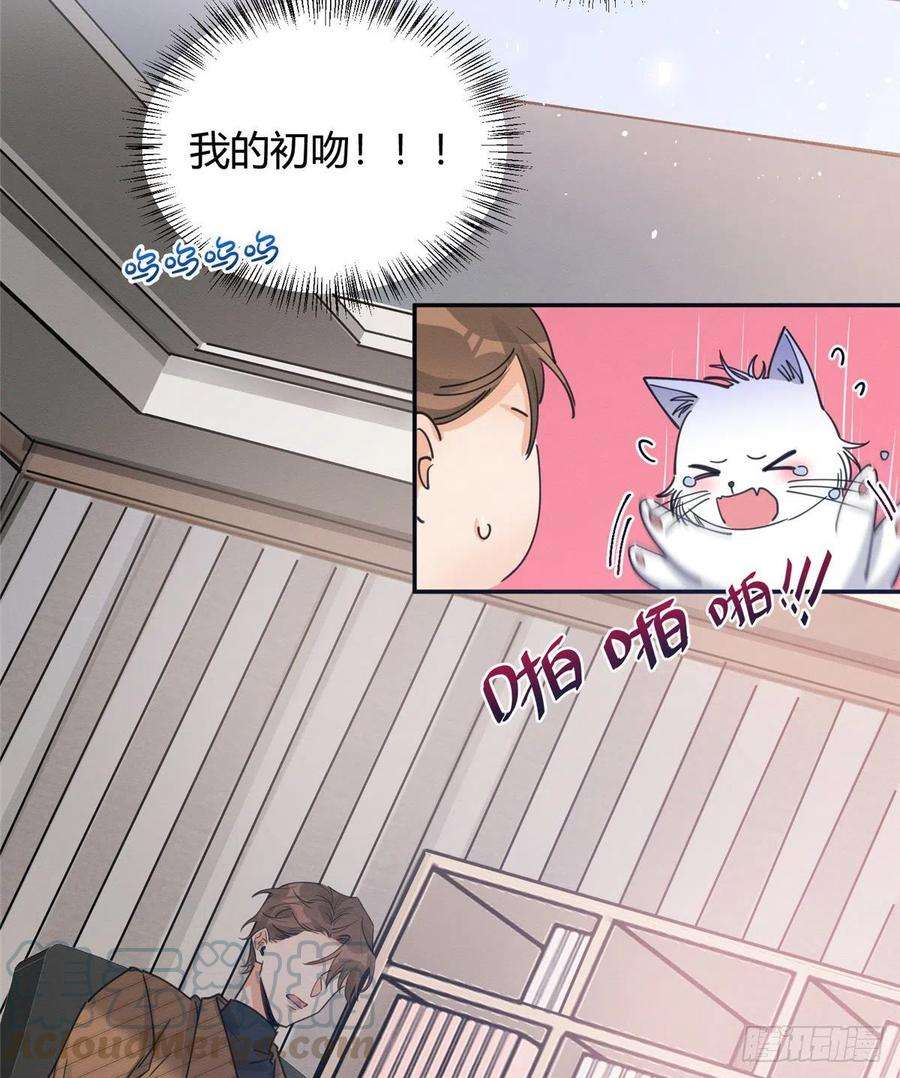 今天也要努力当只猫13话 我的初吻TAT