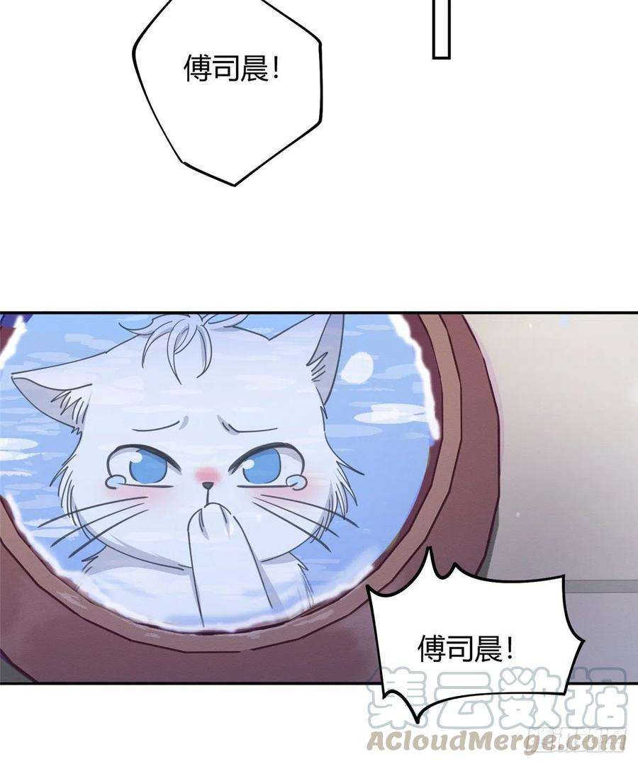 今天也要努力当只猫13话 我的初吻TAT