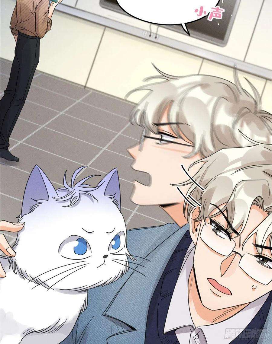 今天也要努力当只猫13话 我的初吻TAT