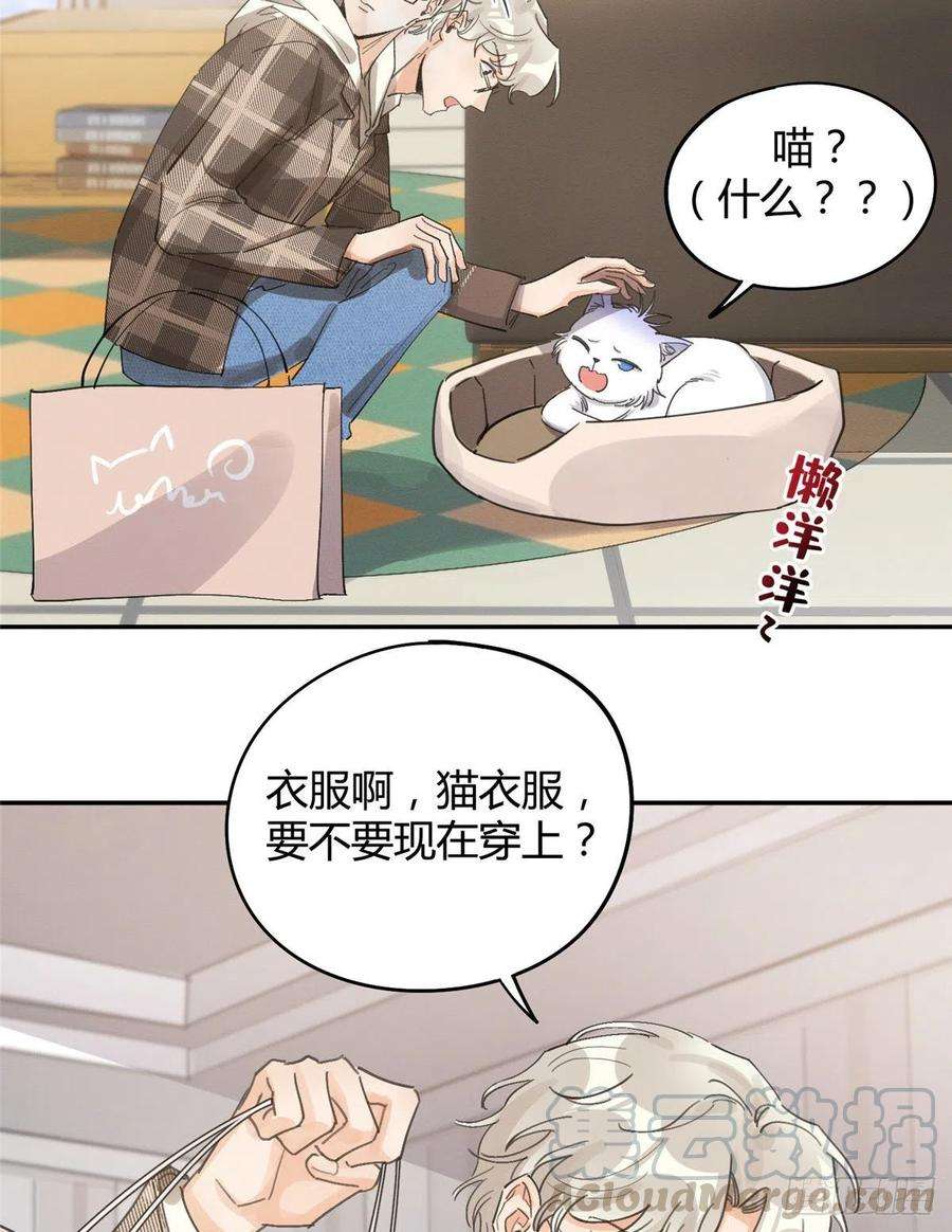 今天也要努力当只猫14话 小仙女