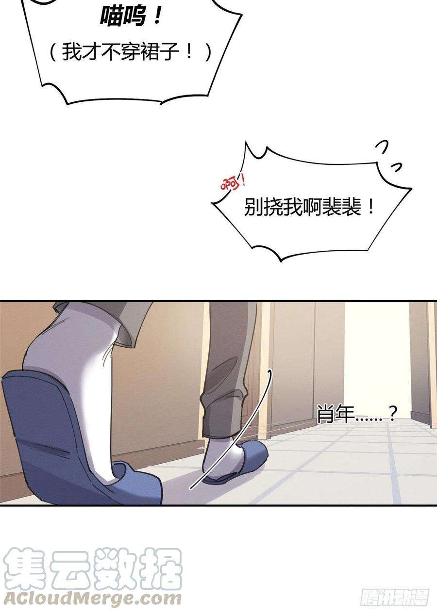 今天也要努力当只猫14话 小仙女