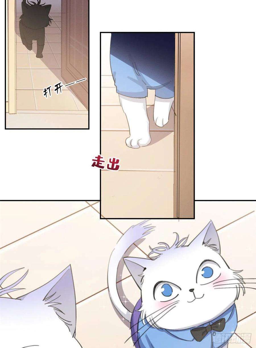 今天也要努力当只猫14话 小仙女