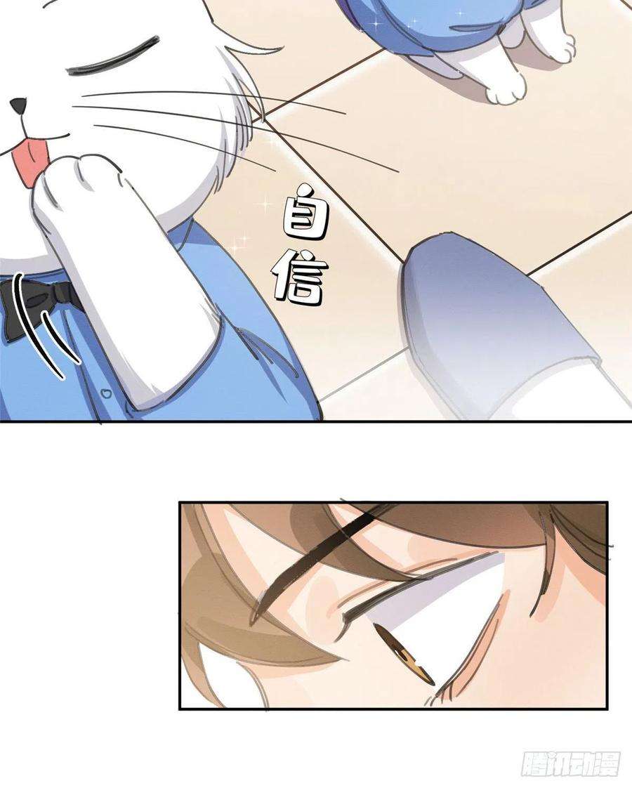 今天也要努力当只猫14话 小仙女