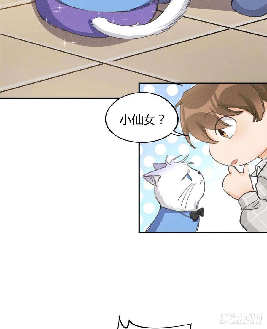 今天也要努力当只猫14话 小仙女