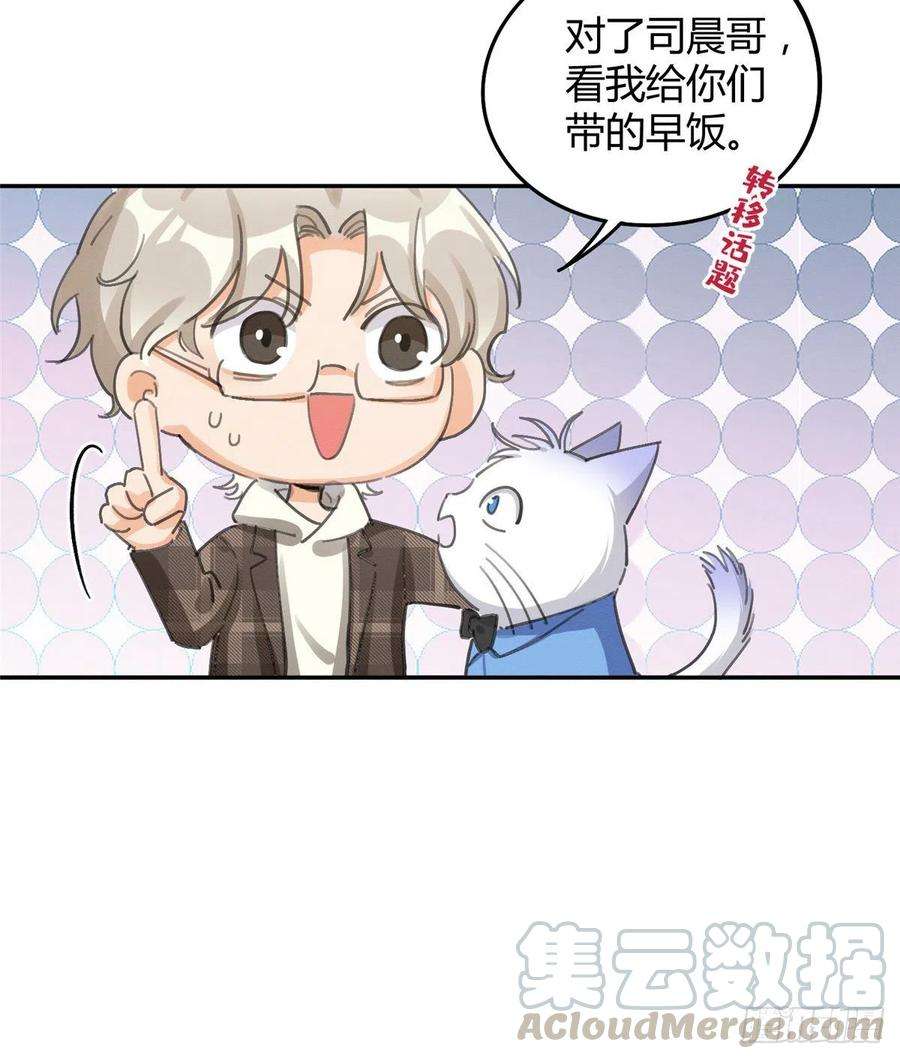 今天也要努力当只猫14话 小仙女