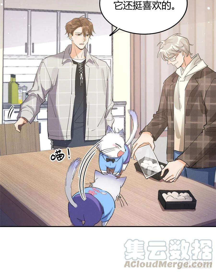 今天也要努力当只猫14话 小仙女