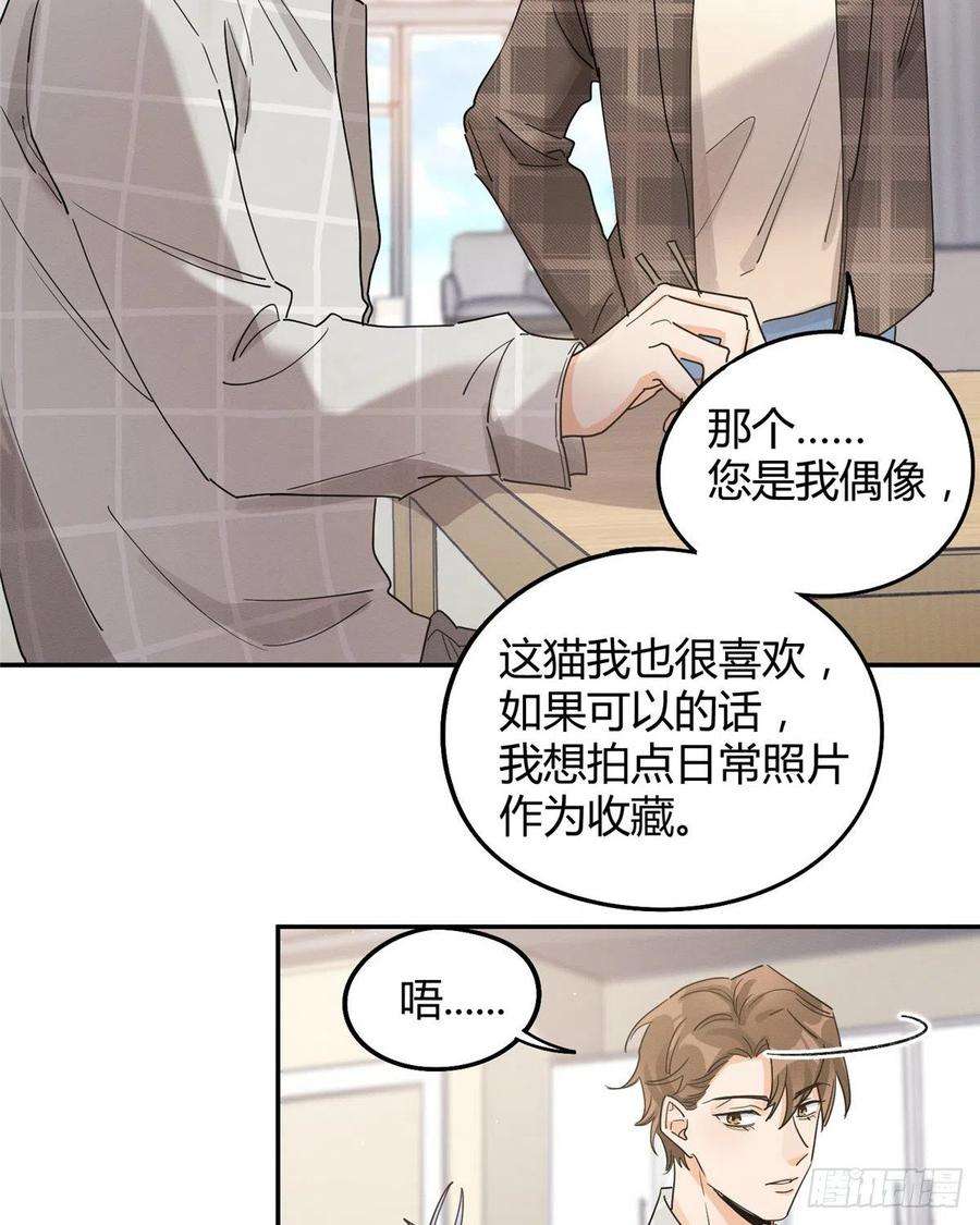 今天也要努力当只猫14话 小仙女