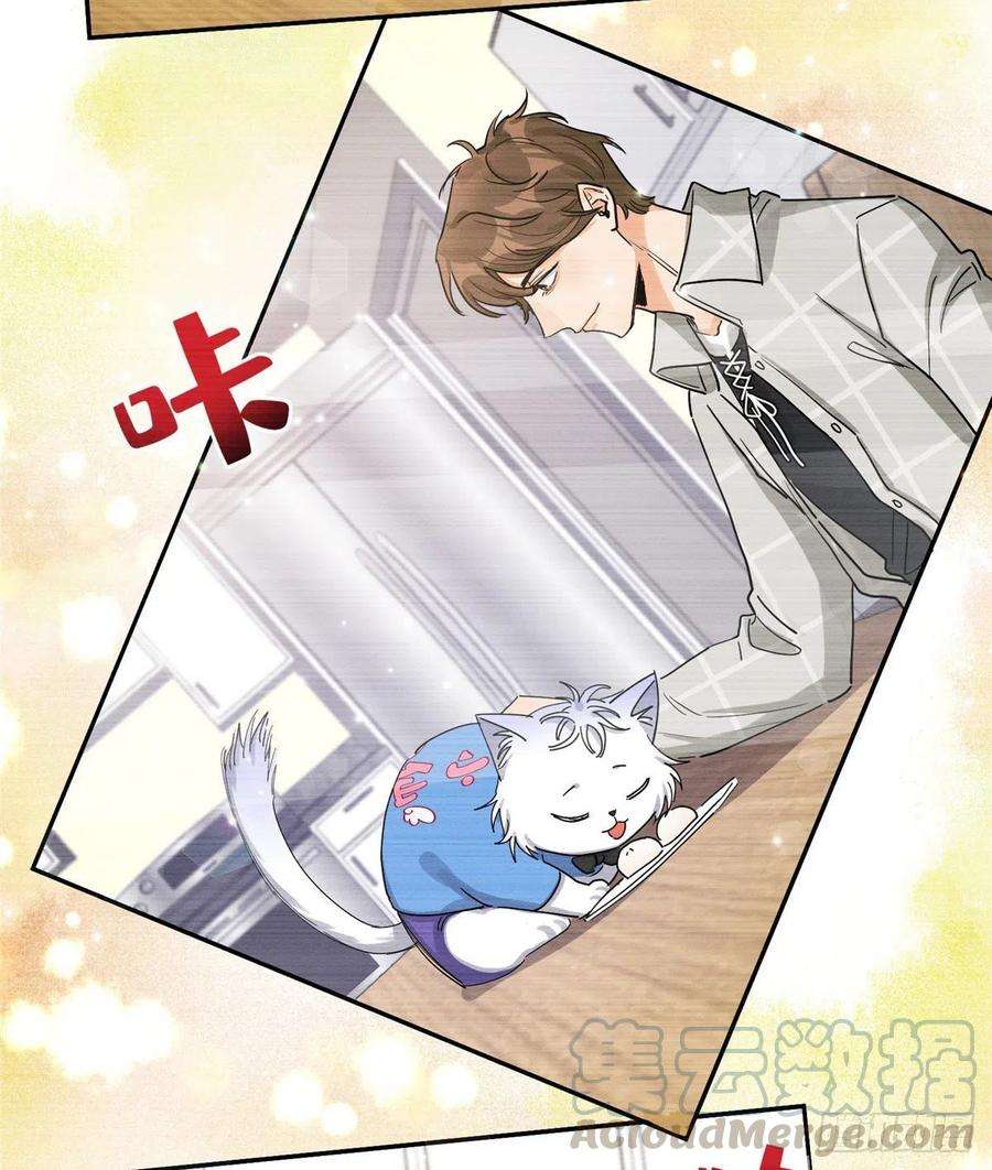 今天也要努力当只猫14话 小仙女