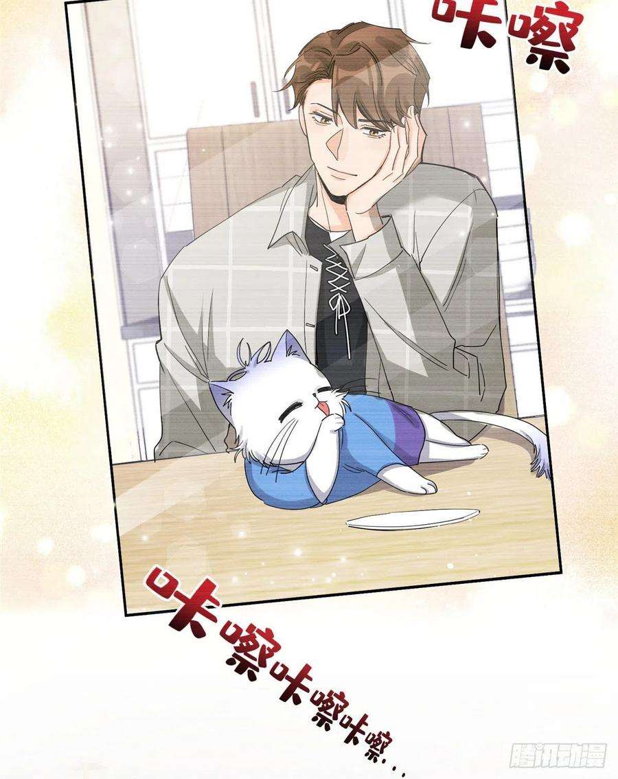 今天也要努力当只猫14话 小仙女