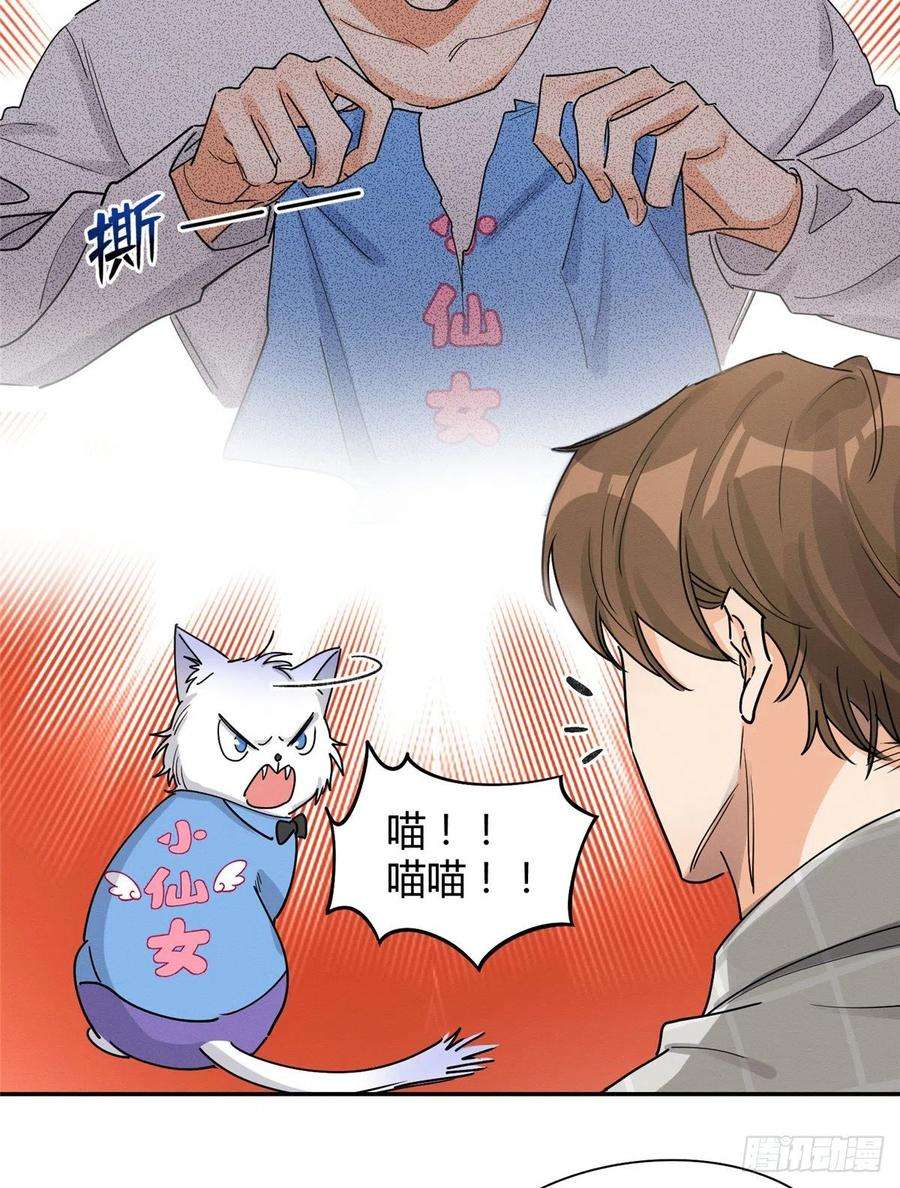 今天也要努力当只猫14话 小仙女