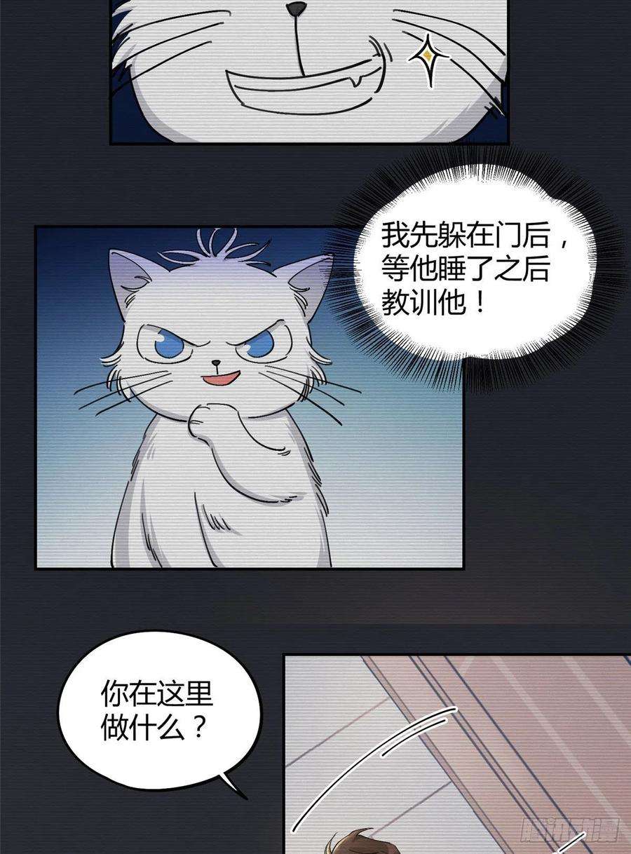今天也要努力当只猫14话 小仙女