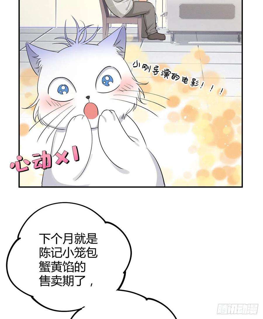 今天也要努力当只猫15话 秘密