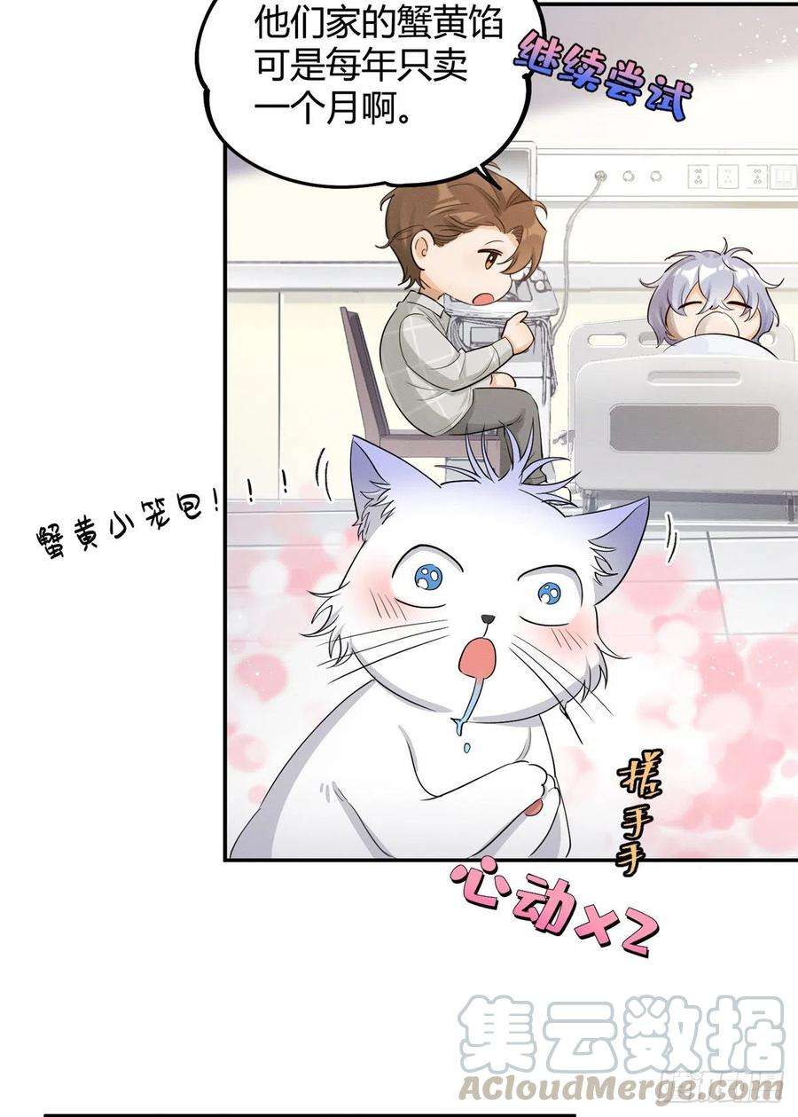 今天也要努力当只猫15话 秘密