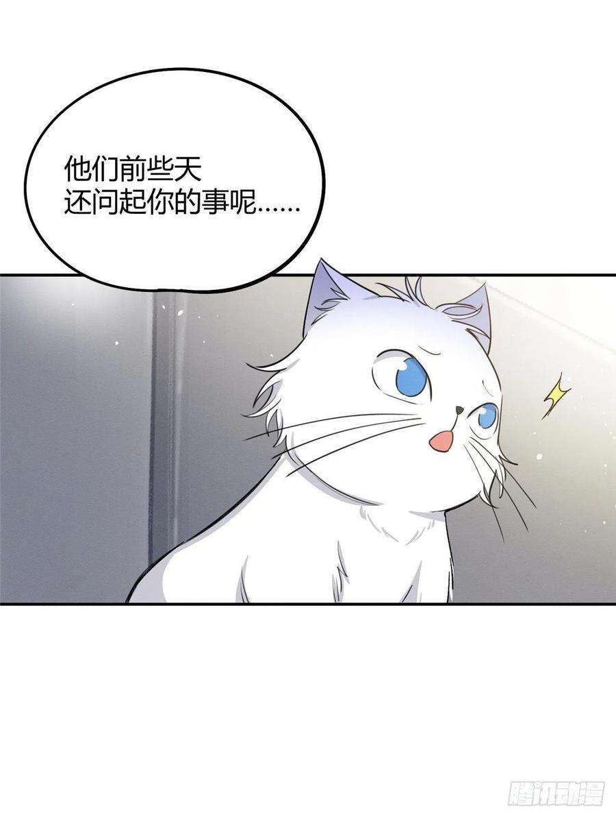 今天也要努力当只猫15话 秘密