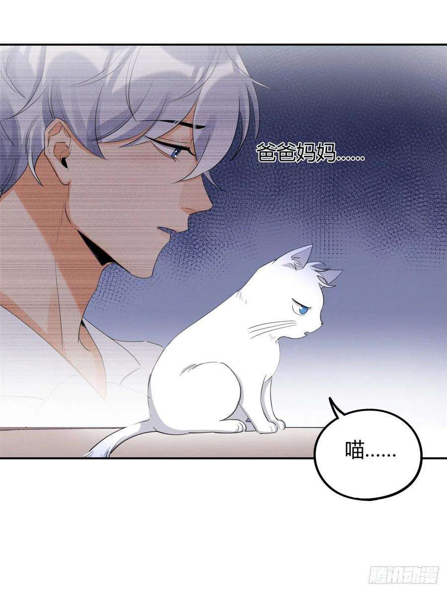 今天也要努力当只猫15话 秘密