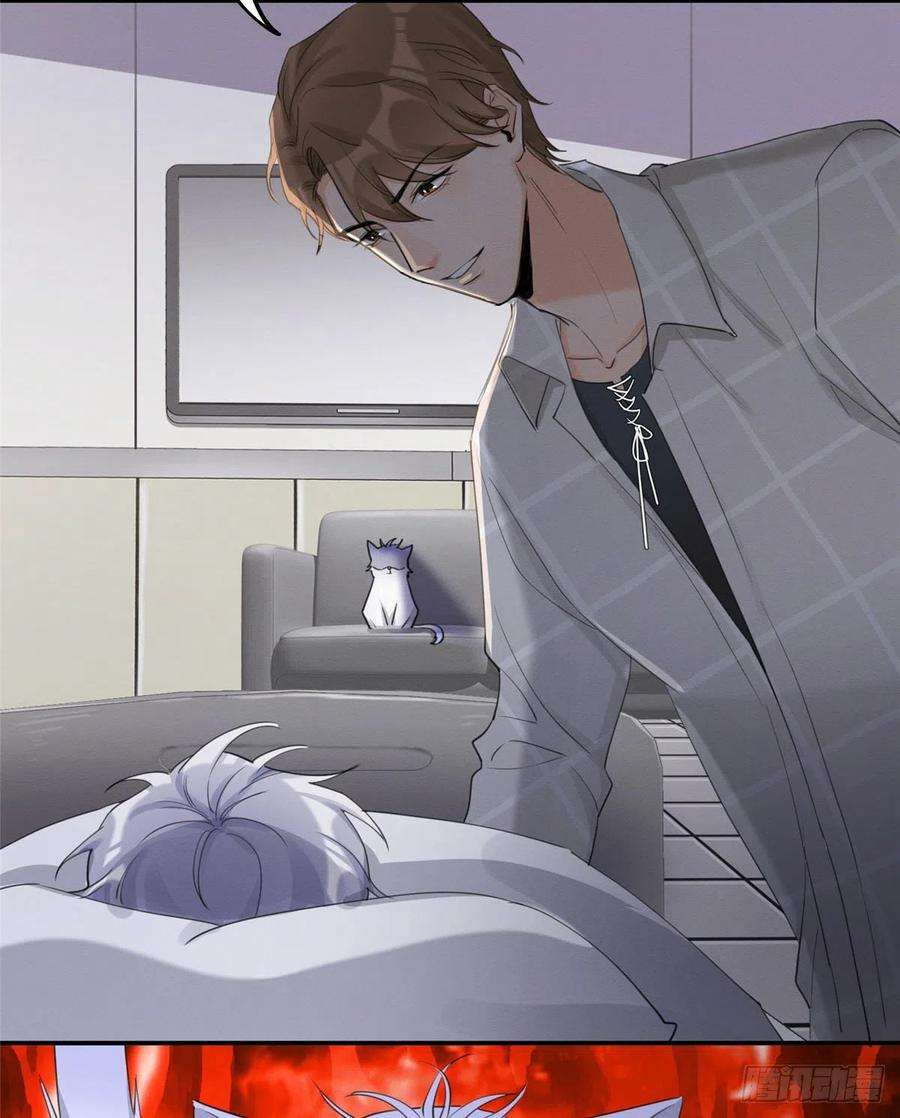 今天也要努力当只猫15话 秘密