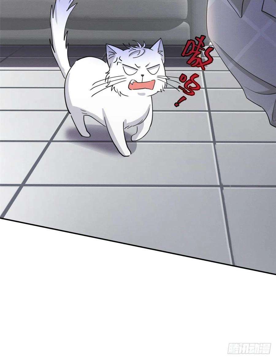 今天也要努力当只猫15话 秘密