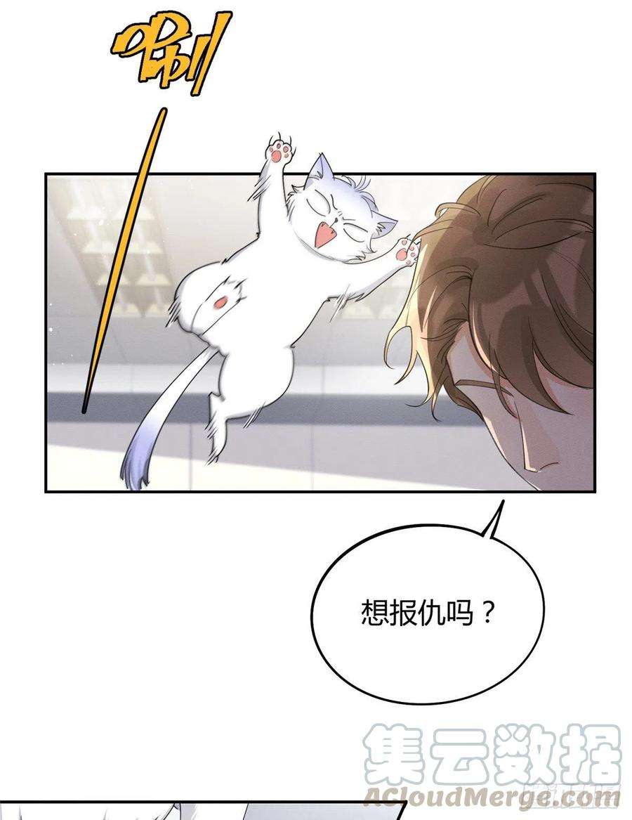 今天也要努力当只猫15话 秘密