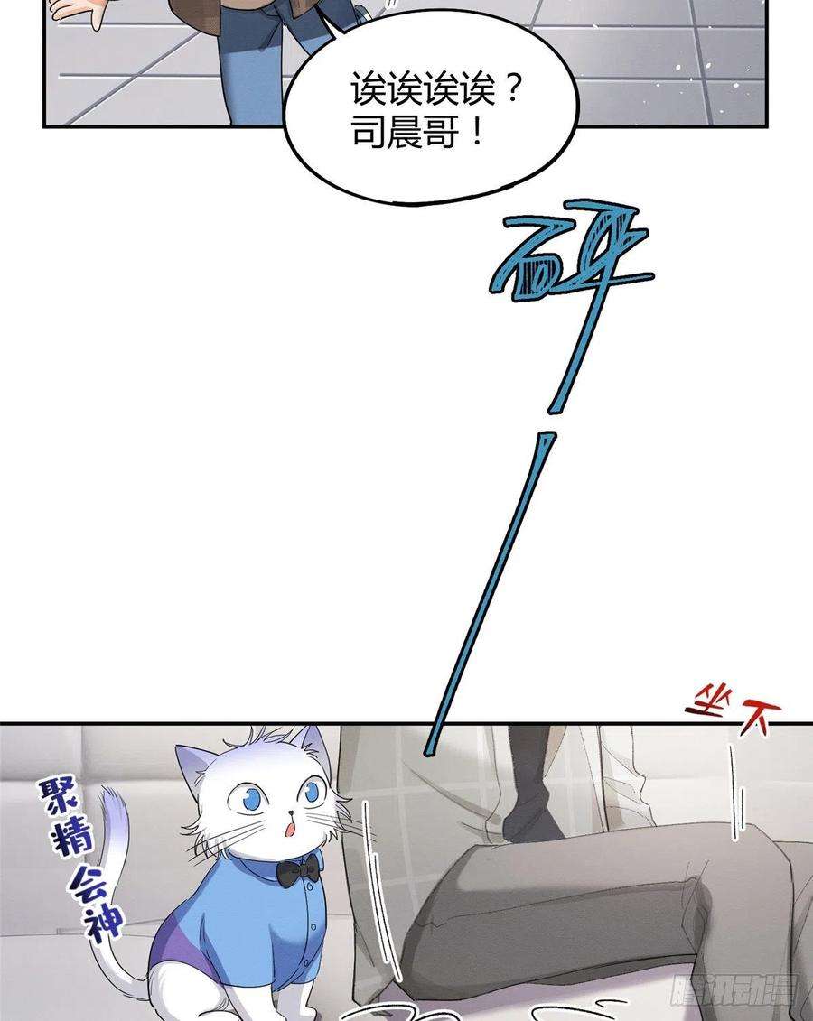 今天也要努力当只猫15话 秘密