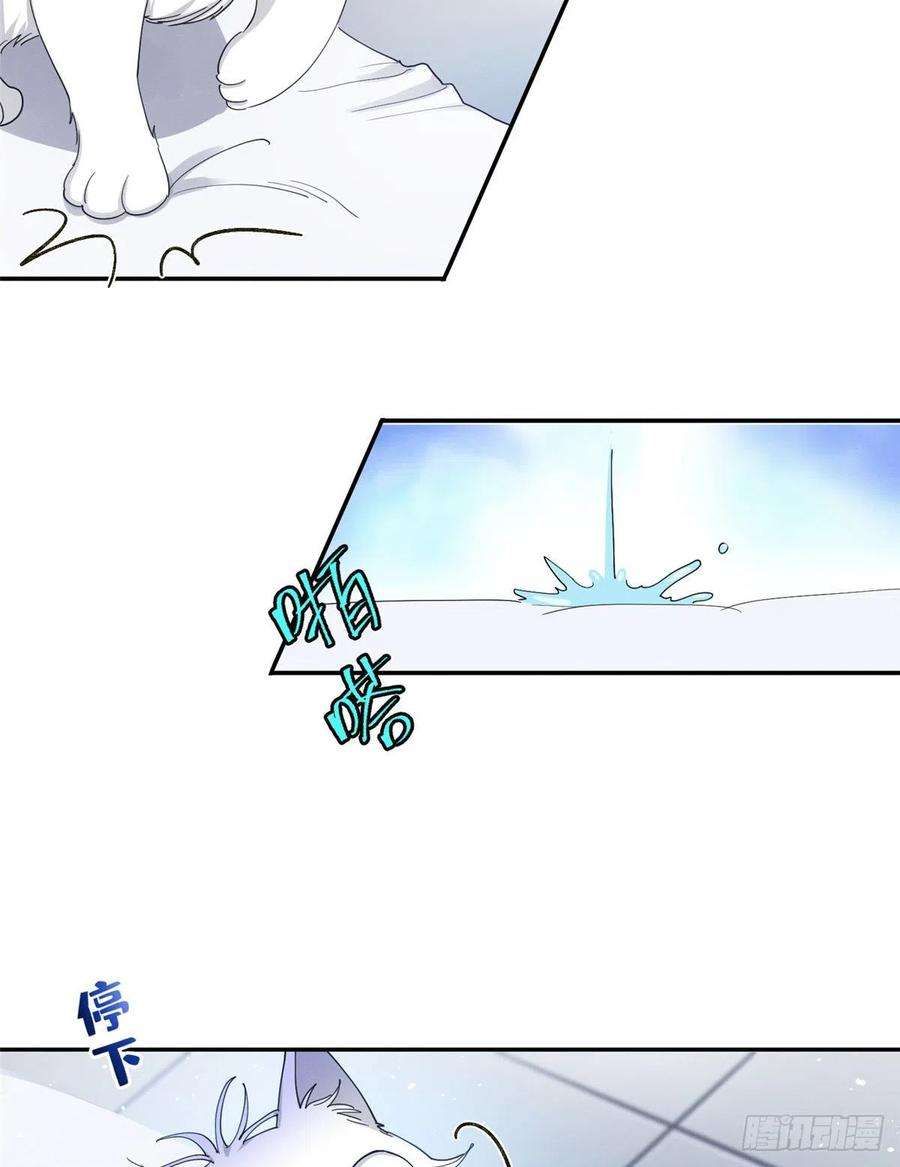 今天也要努力当只猫15话 秘密