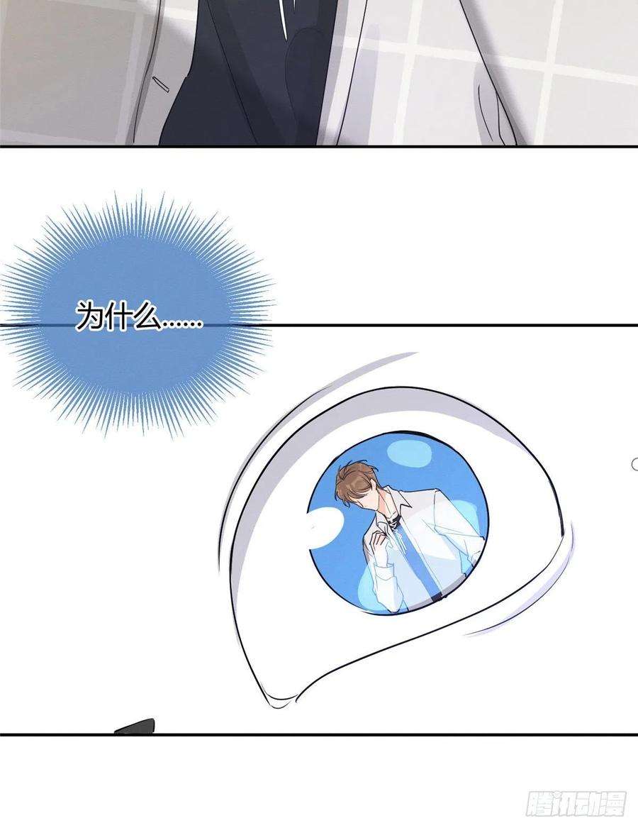 今天也要努力当只猫15话 秘密