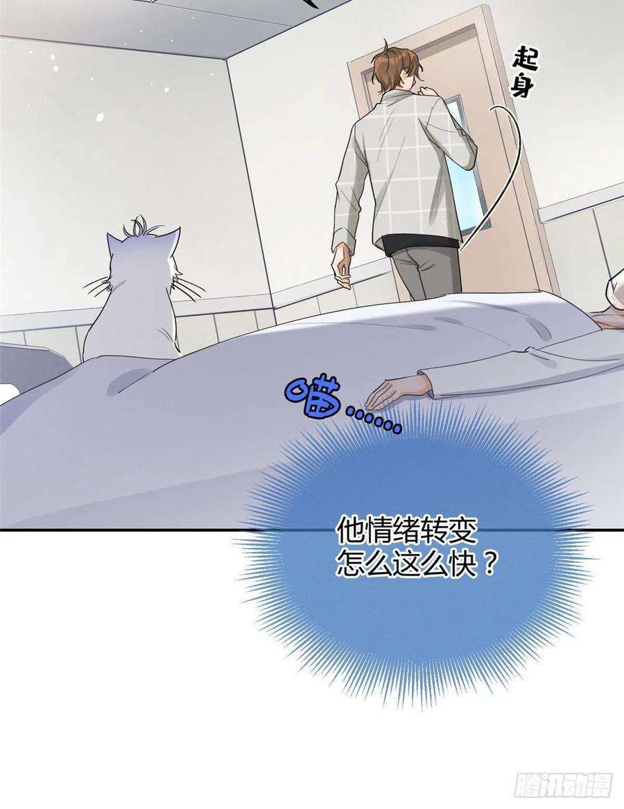 今天也要努力当只猫15话 秘密