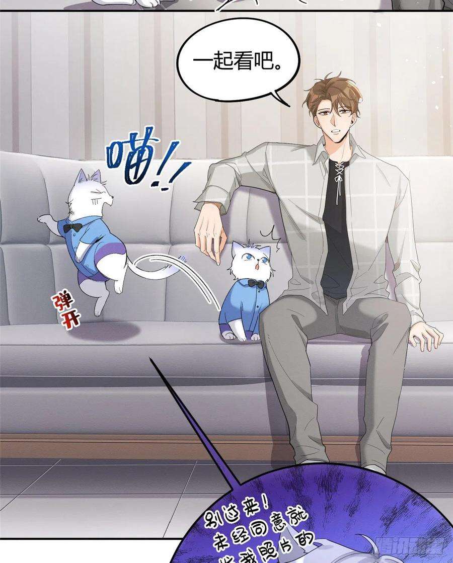 今天也要努力当只猫15话 秘密